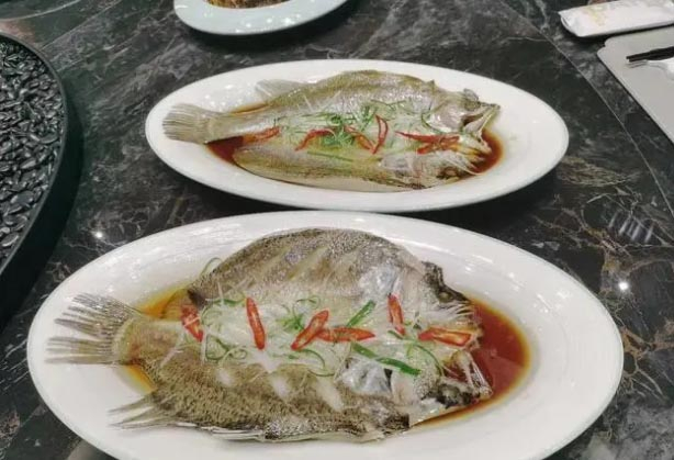 金目鲈鱼：宴席鱼中的低调畅销品